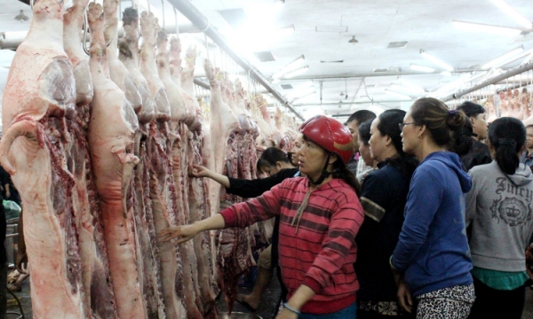 Vì sao nhập khẩu nhiều nhưng giá thịt heo không thể “hạ nhiệt”?